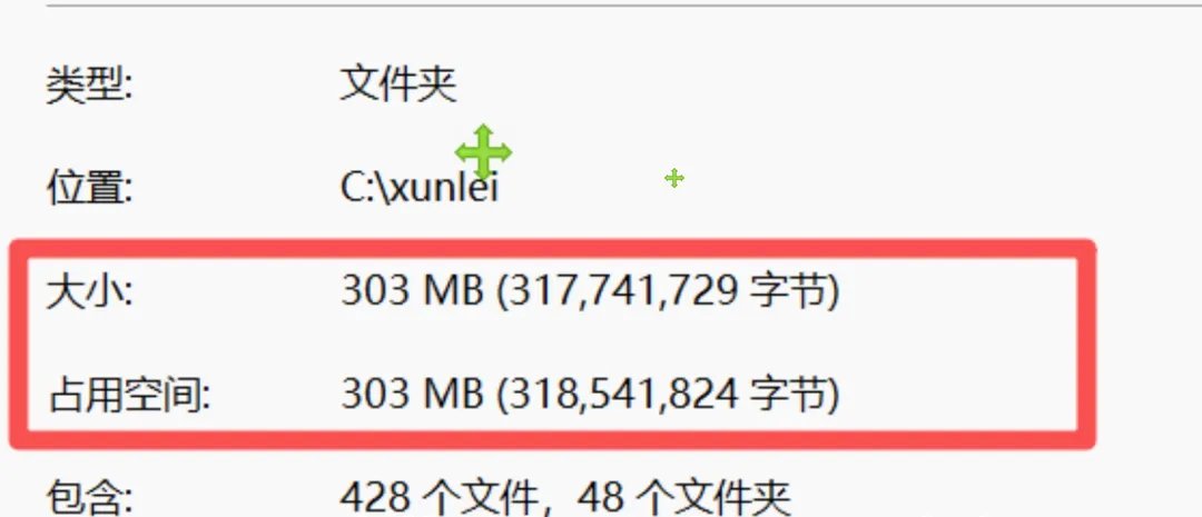 精简版下载工具 截图3